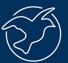 Forum ziviler Friedensdienst e.V.