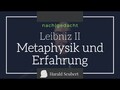 Leibniz II: Metaphysik und Erfahrung