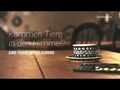 Kommen Tiere in den Himmel?
