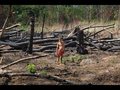 Zukunft Amazonas: Bedrohte Schöpfung - bedrohte Völker