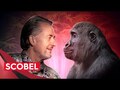 Diese Evolutionstheorie hat uns gefehlt
