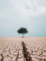 Es ströme das Recht wie Wasser - Gerechtigkeit bei den Propheten