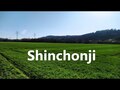 Shinchonji