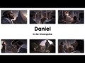 Daniel – In der Löwengrube