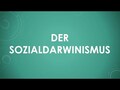Sozialdarwinismus einfach und kurz erklärt