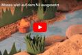 Mose, der Israelit