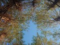 Neugierig Natur entdecken