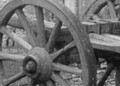 Tagebücher des Ersten Weltkriegs