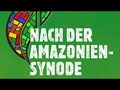 Nach der Amazonien-Synode
