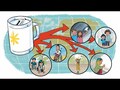 Was passiert mit dem gesammelten Geld?
