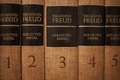 Nicht Herr im eigenen Haus. Sigmund Freud