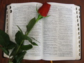 Die Bibel auslegen