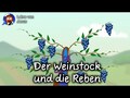 Der Weinstock und die Reben