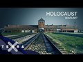 Wie konnte es zum Holocaust kommen? 