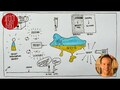 Der Mensch lebt nicht vom Brot allein | Lk 4,1-13 | Sketch-Bibel #106