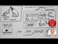 His Masters Voice | Joh 10, 27-30 | Sketch-Bibel #115